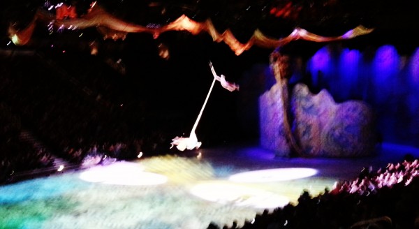 Rupunzel Flying