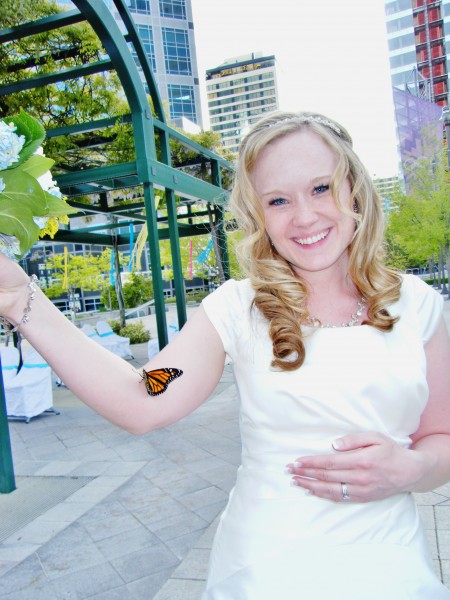 bride butterfly release
