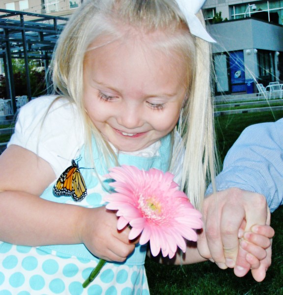 Butterfly release wedding