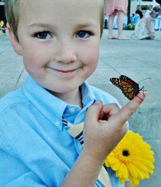 wedding butterfly release