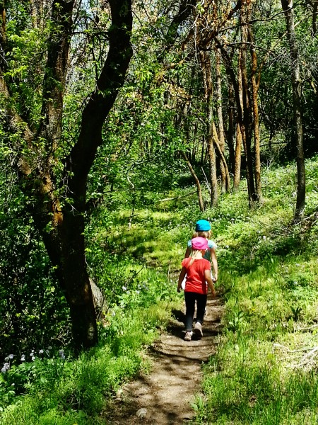 Great little hikes for kids Yellow Fork Canyon