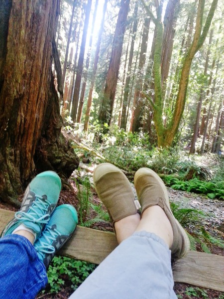 What to expect from Muir Woods