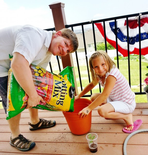 how to plant a seedling