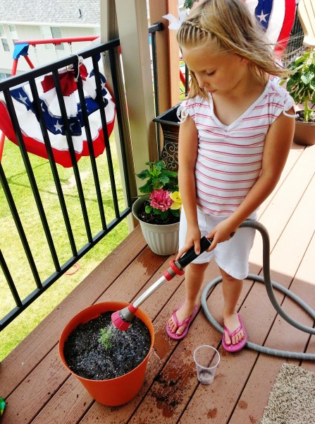 How to water a new little seedling